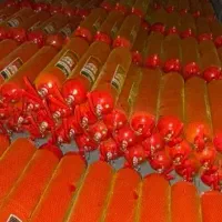 کپسول اتشنشانی co2   عمده ۶ کیلویی  مارک کیهان