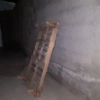 تخت