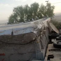 پرنده|پرنده|اندیکا, |دیوار