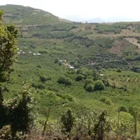 1800-متر-زمین-باغی-و-کشاورزی-در-اشکورات-سمام