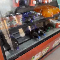 یخچال مغازه تمیز