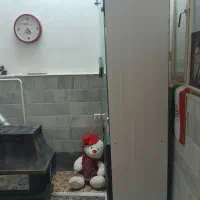 ویترین تمیز