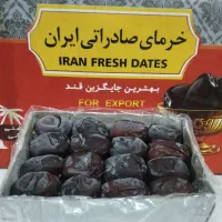 کارتن مادر خرما