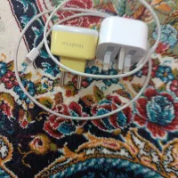 شارژ اپل اصل