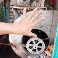 سرویس     کولرابی