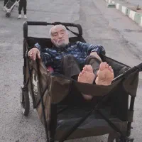ویلچر کالسکه واگنی سبد خرید چرخدستی اربعین
