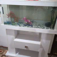 آکواریوم بزرگ