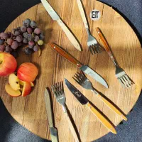 ست۱۲ تایی چاقو و چنگال میوه خوری استیل تروان زنجان