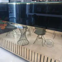 فریزر میز کار شغل ابمیوه (فروش فوری)