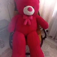 خرس شاخسین ۲متری