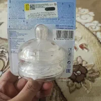 سرشیشه چیکو