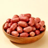 بادام زمینی درجه ۱ دشت مغان + کیفیت صادراتی