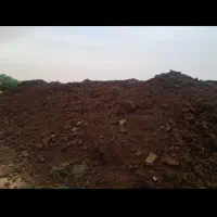 کود گوشتی وشیری
