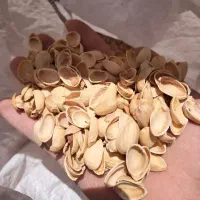 خرید پوست پسته و بادام