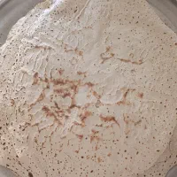 دستگاه نیمه اتوماتیک نان تیری