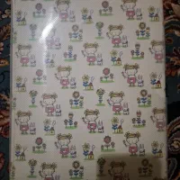 آلبوم اسکناس کره ای