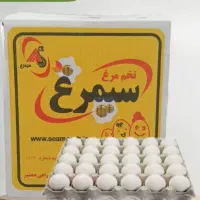 توزیع تخم مرغ در سراسر کشور شرکت سفیر دریای سلامت