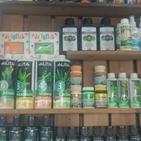ماهی گوشت خوار وارداتی