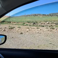 فروش-1000-متر-زمین-مشاع-بیضا-به-صورت-سهم-مشاع