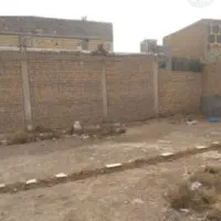 زمین-مسکونی-نخلستان