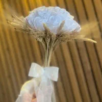 گل های زیبا