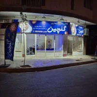 پخش تخم مرغ