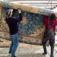 نیازمند چند نفر همکار برای قالی شویی