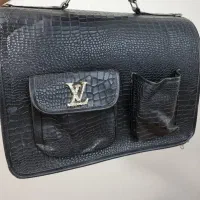 کیف LV گربه