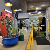 نیروی کار در رستوران فقط خانم