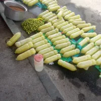 ابلیمو