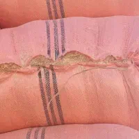 فروش کاه دیم امسال