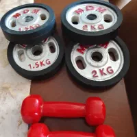 دمبل
