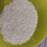 برنج طارم هاشمی