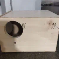 لونه چوبی