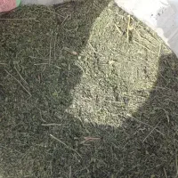 وسمه درجه یک