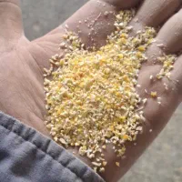 ذرت شکری وچهارپاره