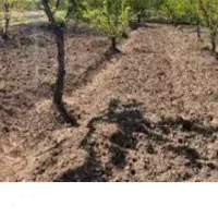 زمین۴هزار متری مرغ داری گلخانه کشاورزی
