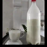 دوغ کفیر