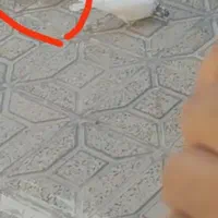 کله سبز در رفته