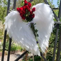 بالفرشته، تولد،گلفروشی،دکور