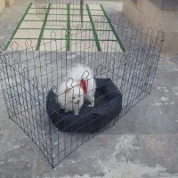 پارک و حفاظ حیوانات