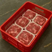 سبدپلاستیکی،پالت،گالن،سطل