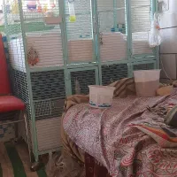 قفس دوطبقه چهارقسمته ودارای چهار چرخ و رنگ کوره ای