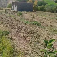 خانه باغ دژکرد، فرصتی استثنایی، سرمایه گذاری
