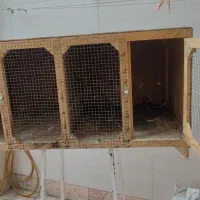 قفس فروشی فوری