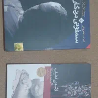 کتاب رمان و فلسفه