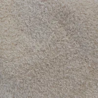 برنج گرگان