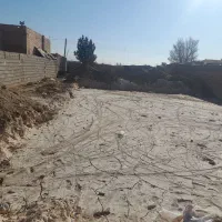 کارگرپسته کنی سبزورسیده هستیم  یک دست کسی خواست