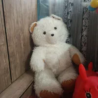خرس بزرگ