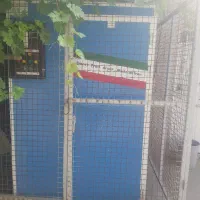 دستگاه میوه خشک کن